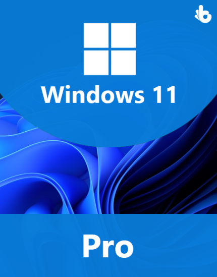 windows 11 pro ürün anahtarı